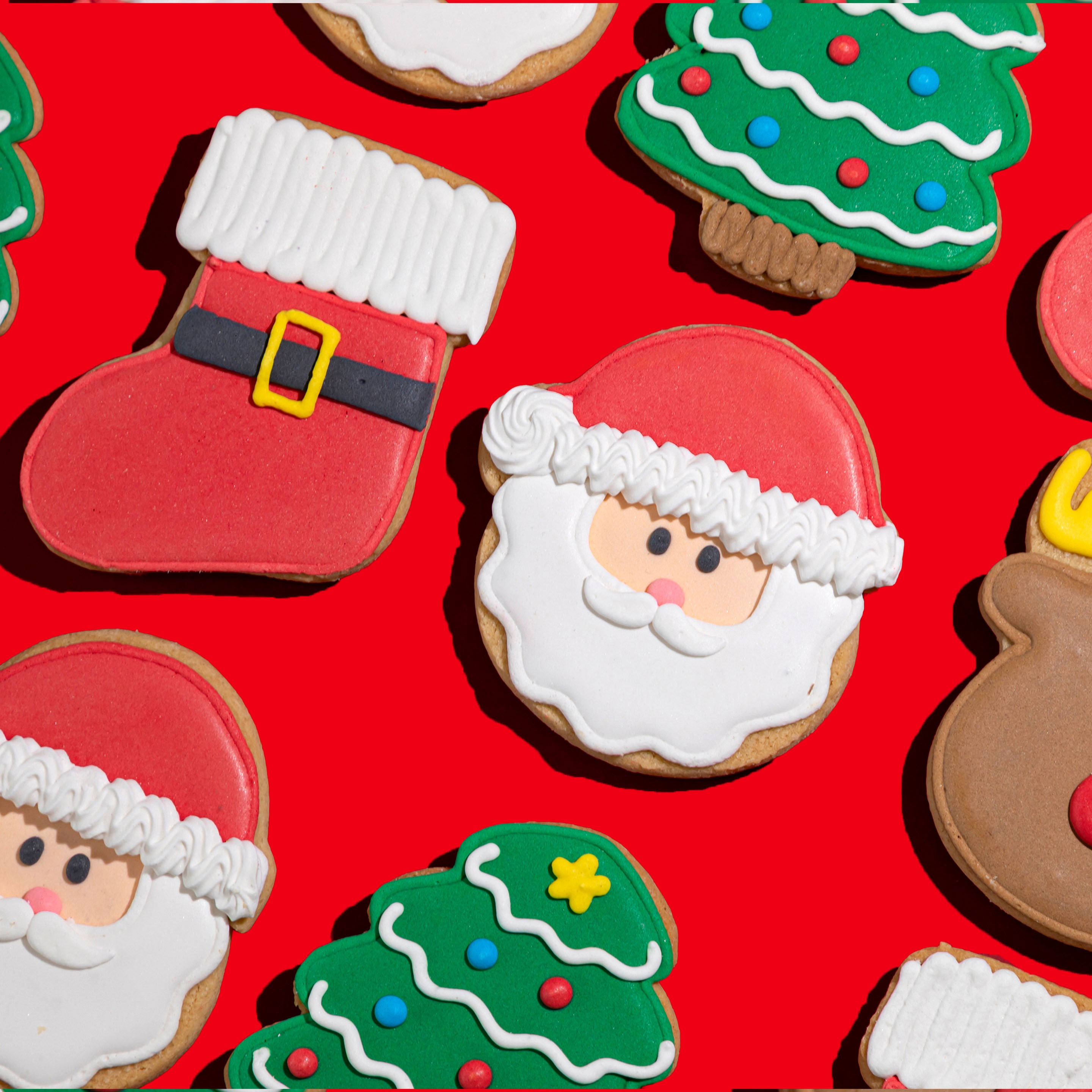 Christmas Hand-Decorated Cookies