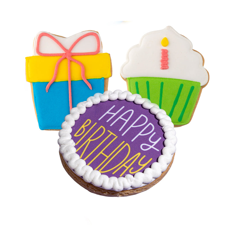 Happy Birthday Hand-Decorated Cookies