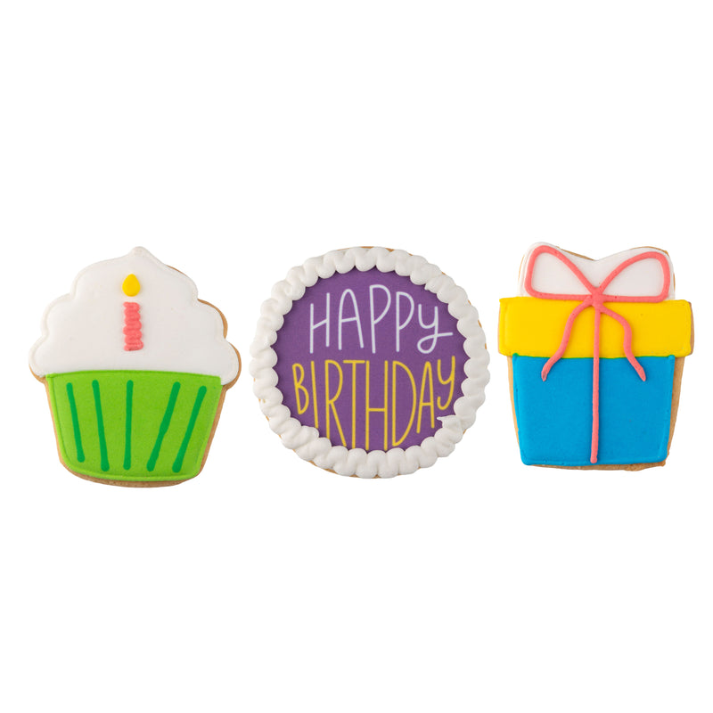 Happy Birthday Hand-Decorated Cookies