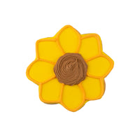 Harvest Hand-Decorated Cookies