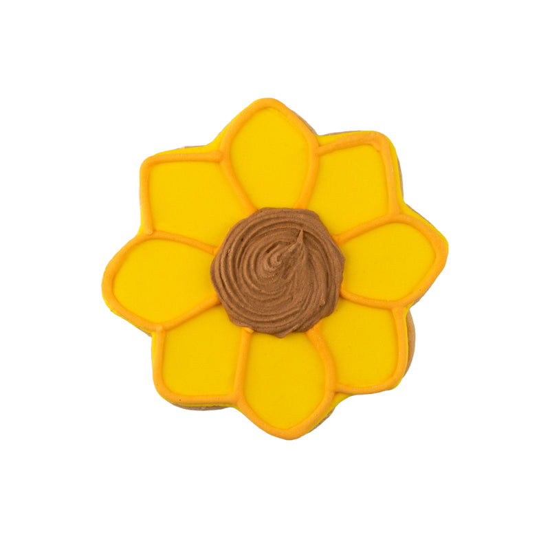 Harvest Hand-Decorated Cookies