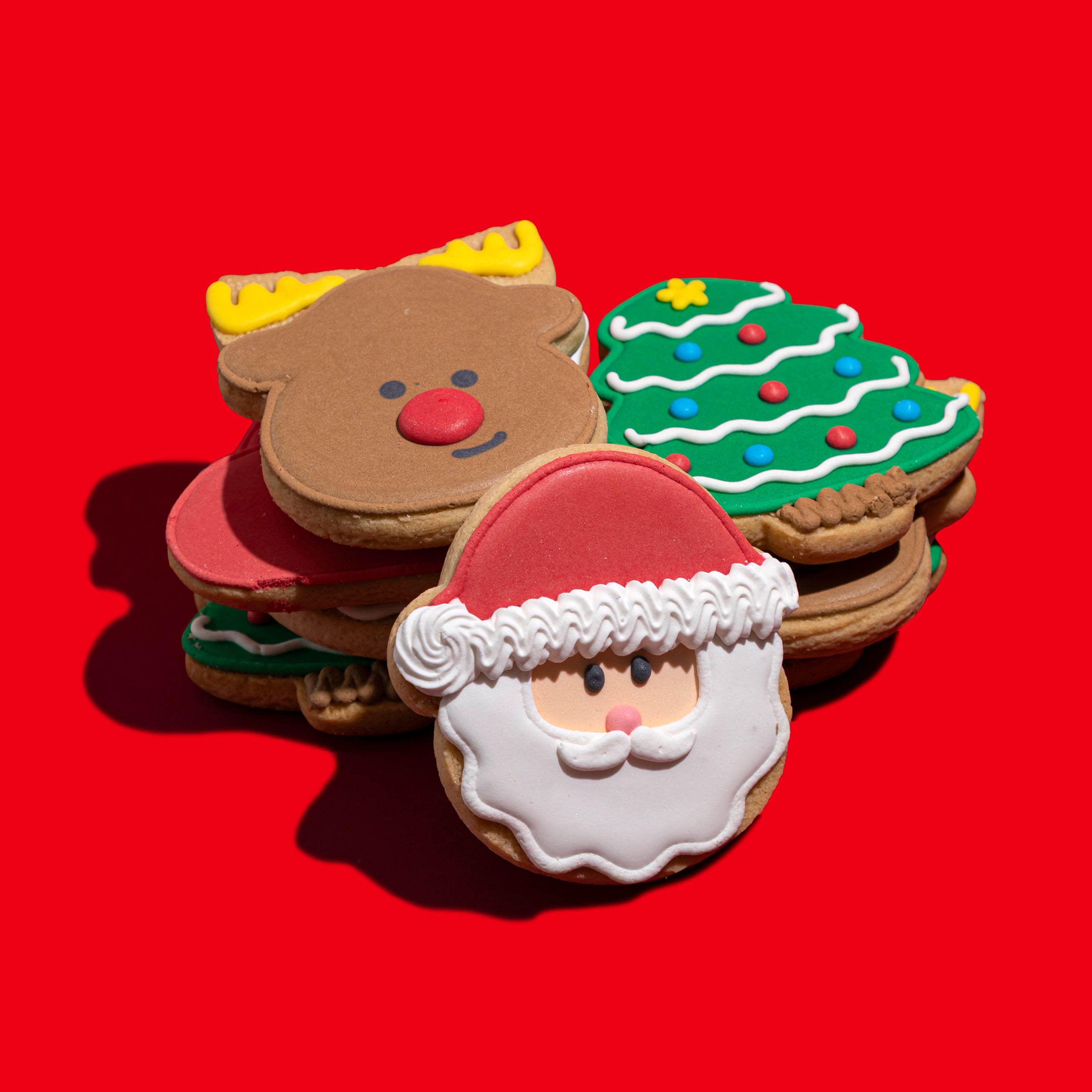 Christmas Hand-Decorated Cookies